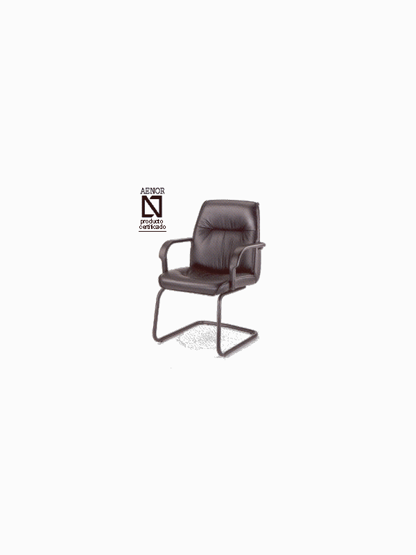 Sillon de visita simil-piel
